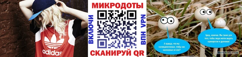 наркотики  Щёлкино  Галлюциногенные грибы GOLDEN TEACHER 